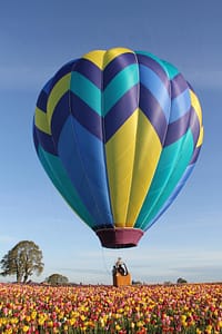 hot air balloon