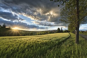 Stress relieving landscape of a cloudy sky in a field of grass and trees in the distance.